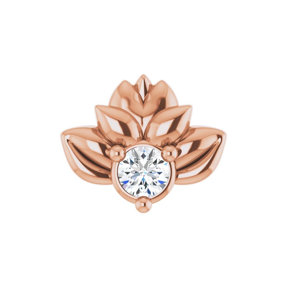 Lotus Blossom