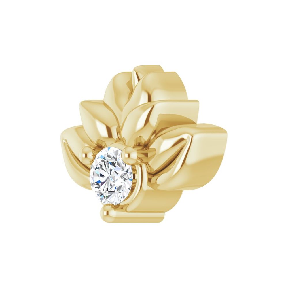 Lotus Blossom