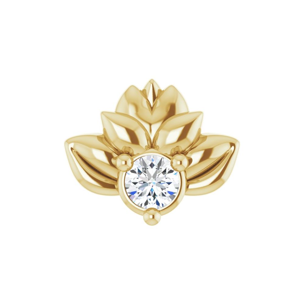Lotus Blossom